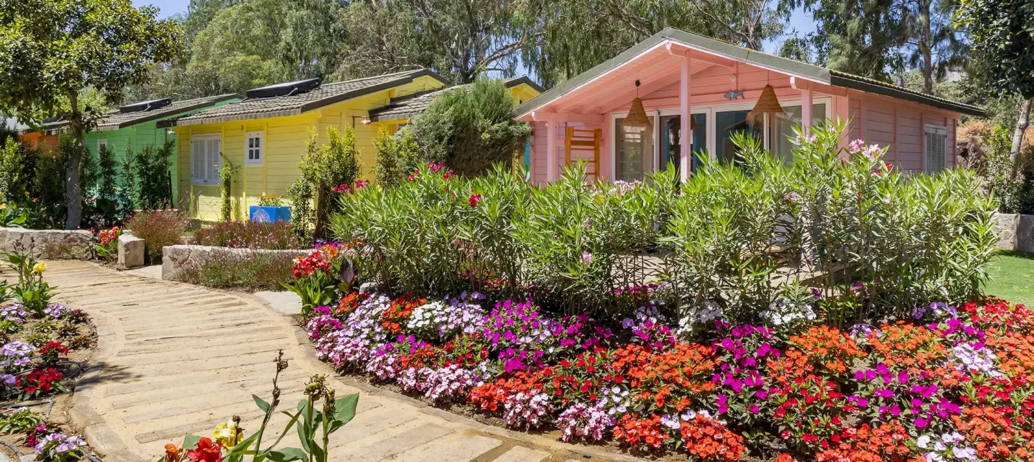 Glamping en Tarifa