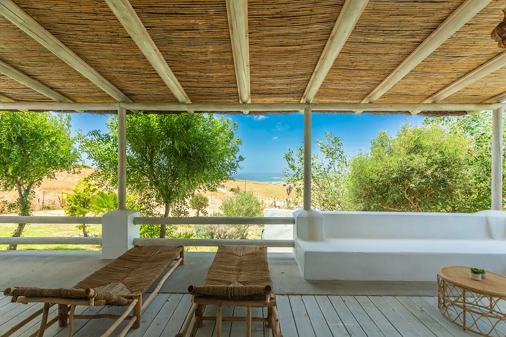 Terrace Views