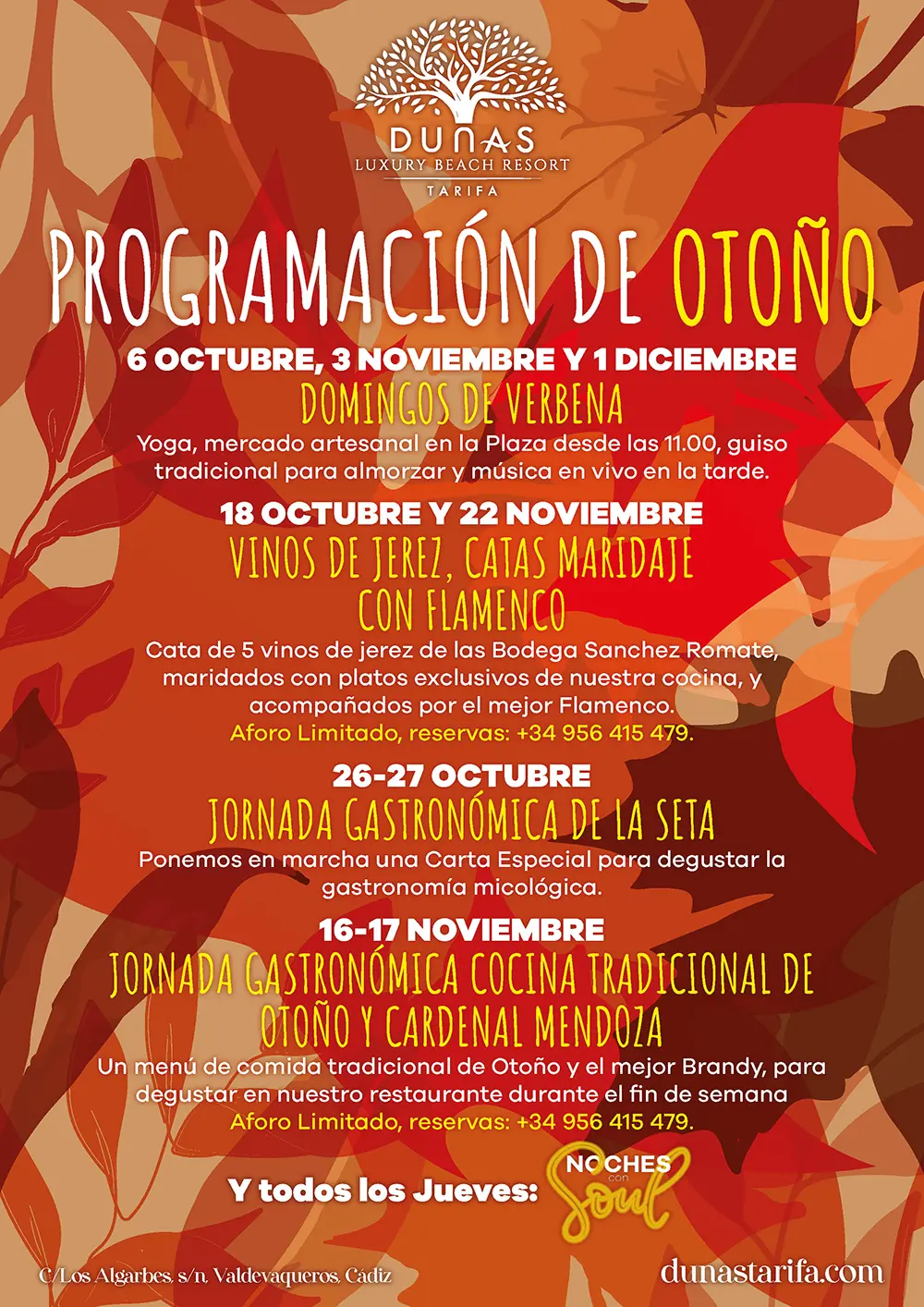 Programación de Otoño